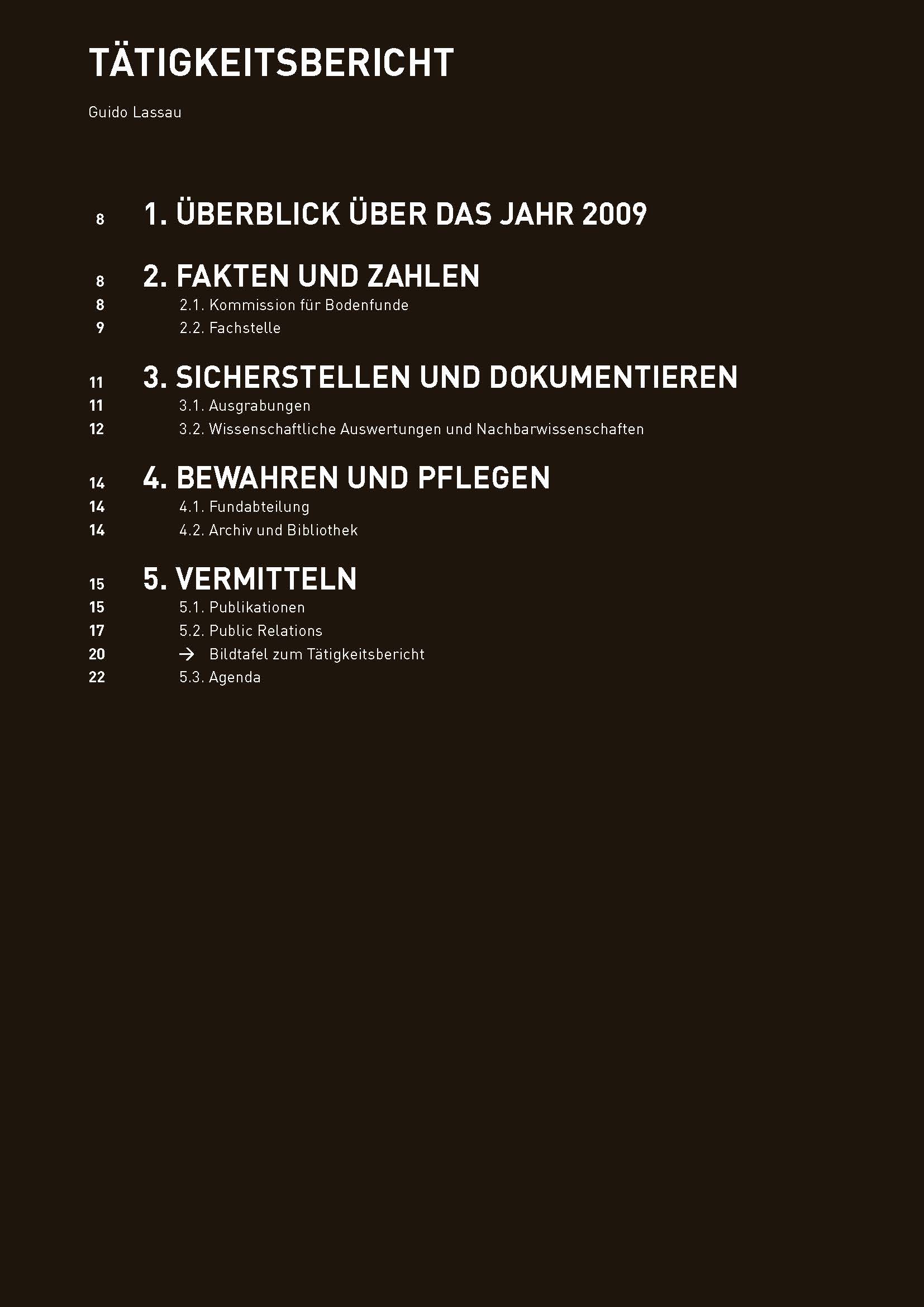 Inhaltsverzeichnis des Tätigkeitsberichts 2009